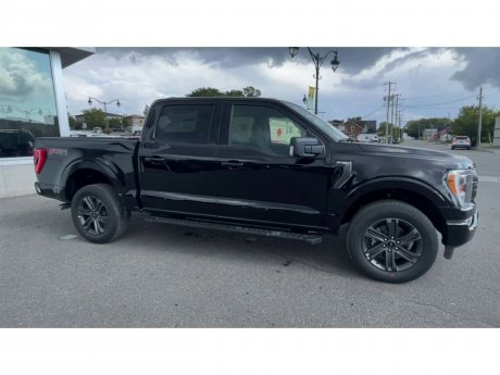2023 Ford F-150 - 21332 Image 2