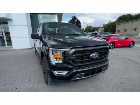 2023 Ford F-150 - 21332 Image 3