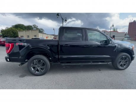 2023 Ford F-150 - 21332 Image 9
