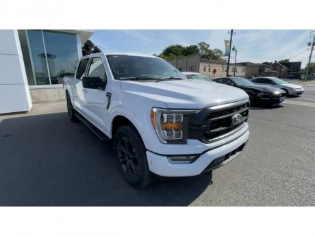 2023 Ford F-150 - 21331 Image 3