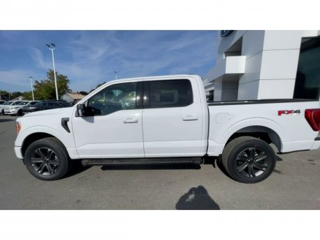 2023 Ford F-150 - 21331 Image 6