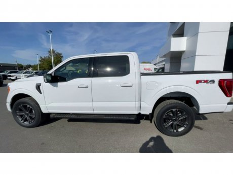 2023 Ford F-150 - 21331 Image 7