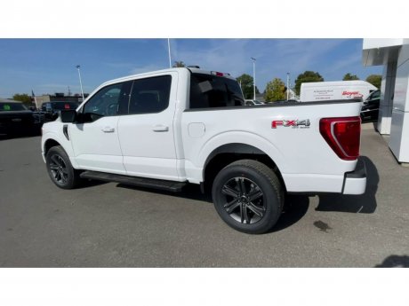 2023 Ford F-150 - 21331 Image 8