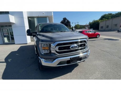 2023 Ford F-150 - 21319 Image 3