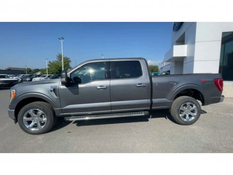 2023 Ford F-150 - 21319 Image 5
