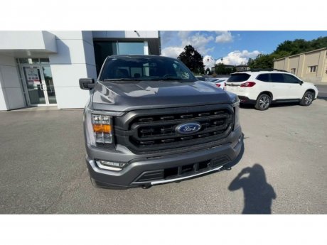 2023 Ford F-150 - 21333 Image 3