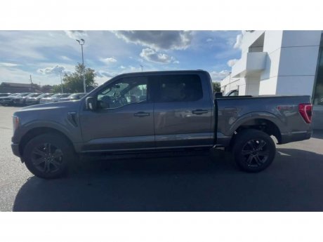 2023 Ford F-150 - 21333 Image 5