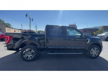 2023 Ford F-150 - 21344 Image 9