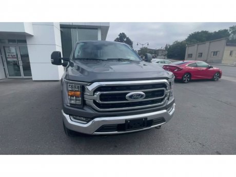 2023 Ford F-150 - 21324 Image 3