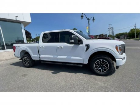 2023 Ford F-150 - 21315 Image 2