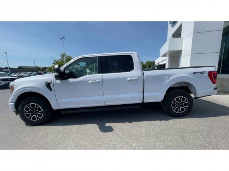 2023 Ford F-150 - 21315 Image 5