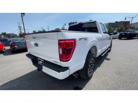 2023 Ford F-150 - 21315 Image 8
