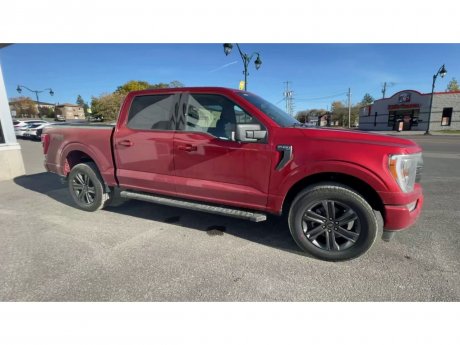 2023 Ford F-150 - 21416 Image 2