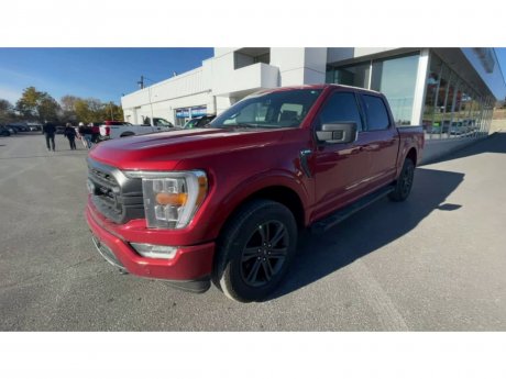 2023 Ford F-150 - 21416 Image 4
