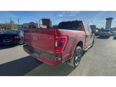 2023 Ford F-150 - 21416 Image 8