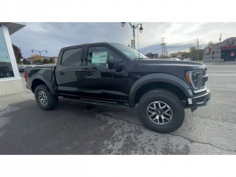 2023 Ford F-150 - 21462 Image 2