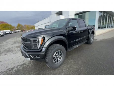 2023 Ford F-150 - 21462 Image 4