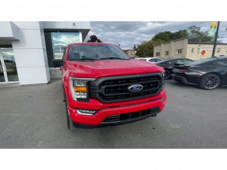 2023 Ford F-150 - 21439 Image 3