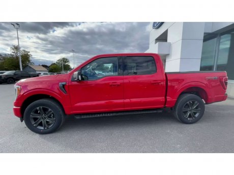 2023 Ford F-150 - 21439 Image 5