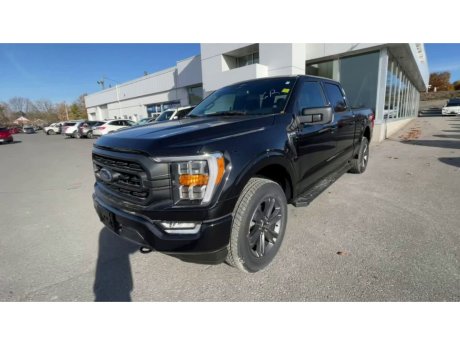 2023 Ford F-150 - 21438 Image 4
