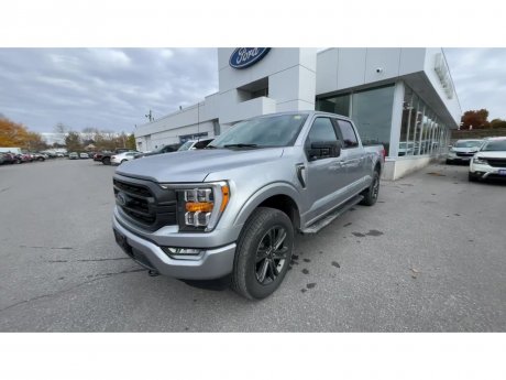 2023 Ford F-150 - 21489 Image 4
