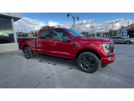 2023 Ford F-150 - 21437 Image 2