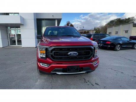 2023 Ford F-150 - 21437 Image 3