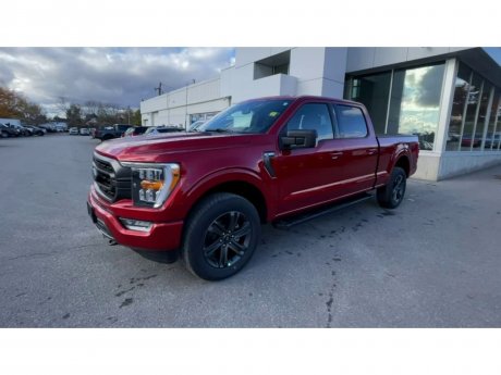 2023 Ford F-150 - 21437 Image 4