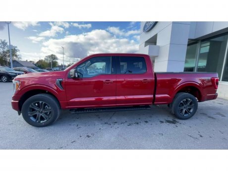2023 Ford F-150 - 21437 Image 5