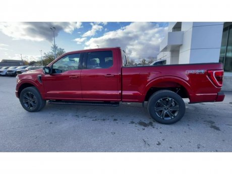 2023 Ford F-150 - 21437 Image 6