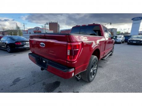 2023 Ford F-150 - 21437 Image 8