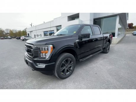 2023 Ford F-150 - 21488 Image 4