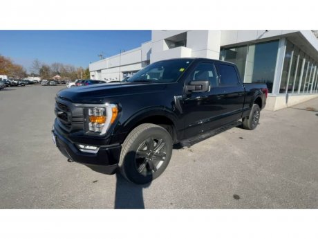 2023 Ford F-150 - 21486 Image 4