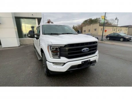 2023 Ford F-150 - 21482 Image 3