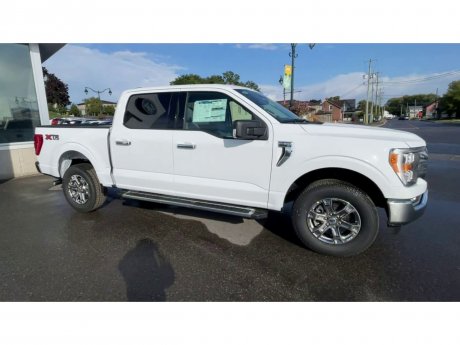2023 Ford F-150 - 21364 Image 2
