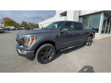 2023 Ford F-150 - 21418 Image 4
