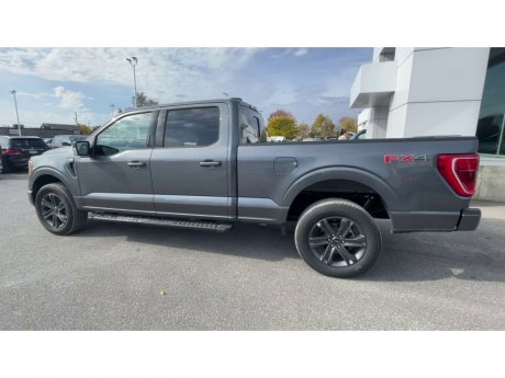 2023 Ford F-150 - 21418 Image 6