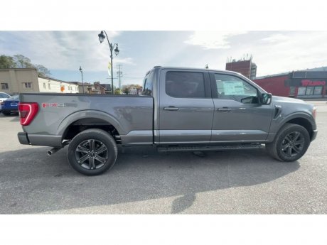 2023 Ford F-150 - 21418 Image 9