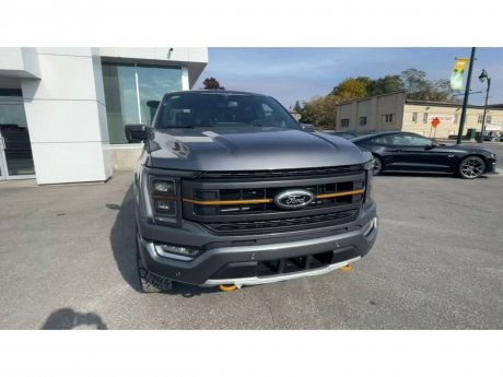 2023 Ford F-150 - 21456 Image 3