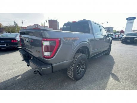 2023 Ford F-150 - 21456 Image 8