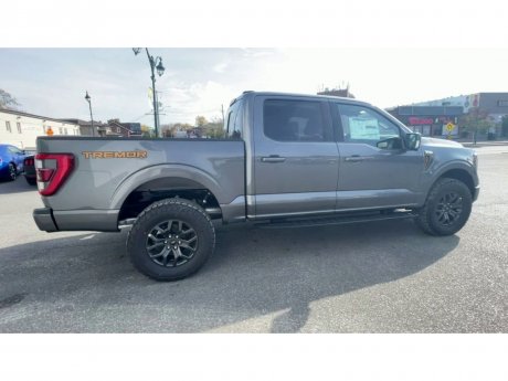 2023 Ford F-150 - 21456 Image 9