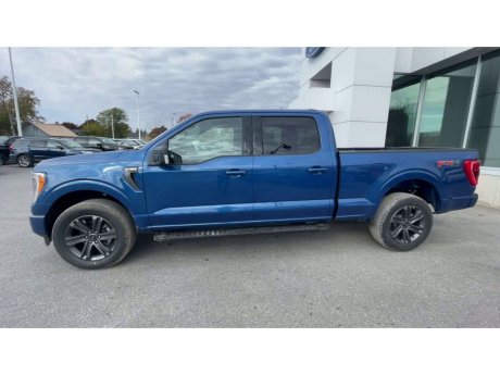 2023 Ford F-150 - 21422 Image 5