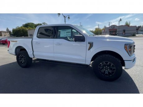 2023 Ford F-150 - 21382 Image 2