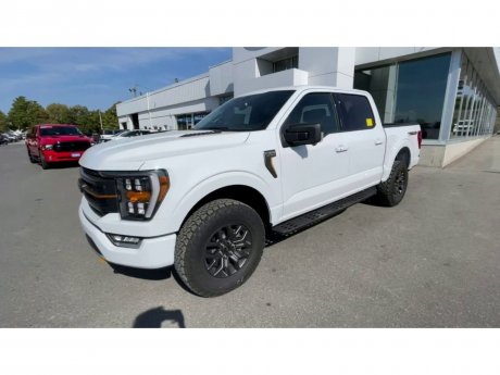 2023 Ford F-150 - 21382 Image 4