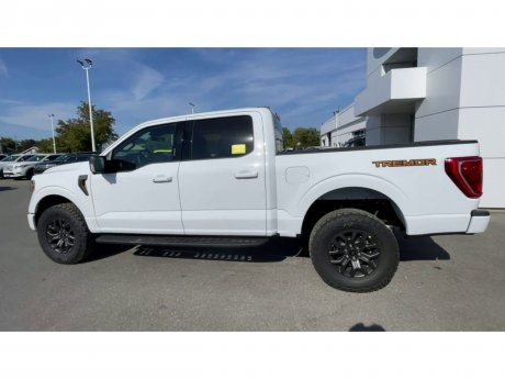 2023 Ford F-150 - 21382 Image 6