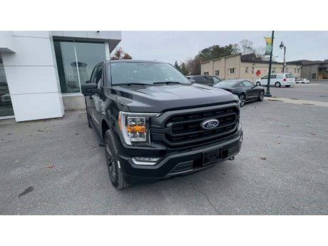 2023 Ford F-150 - 21476 Image 3