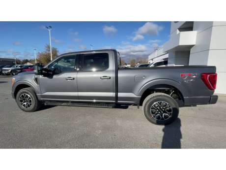 2023 Ford F-150 - 21506 Image 6