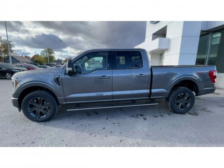 2023 Ford F-150 - 21509 Image 5