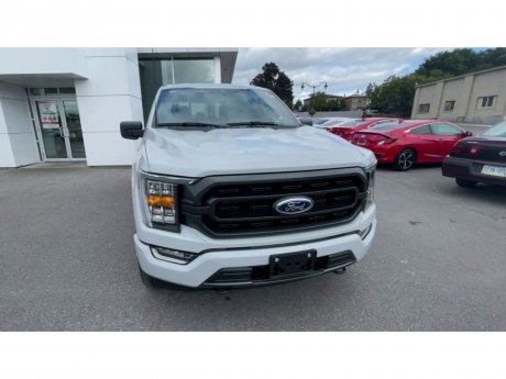 2023 Ford F-150 - 21334 Image 3