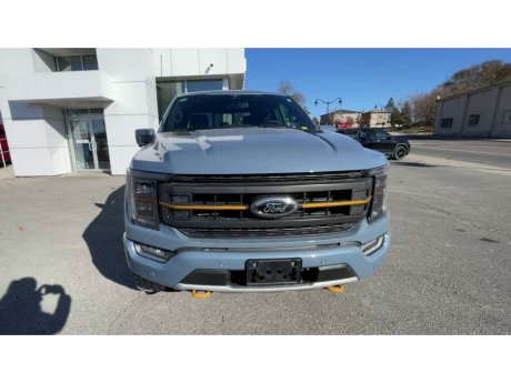 2023 Ford F-150 - 21531 Image 3